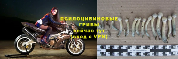 герыч Осинники