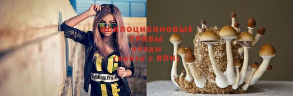 метадон Нягань