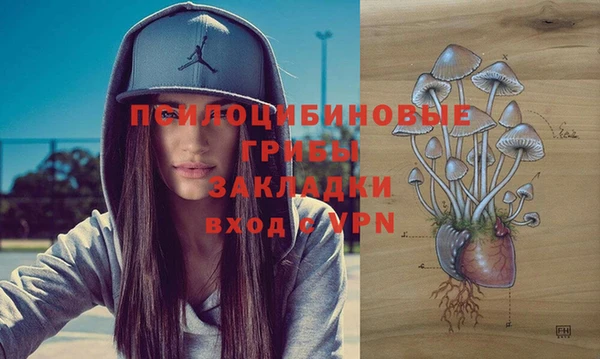 герыч Осинники