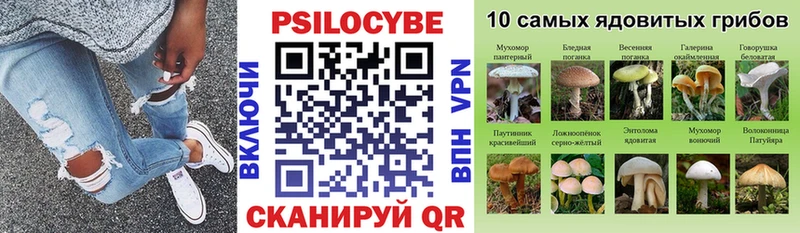 Галлюциногенные грибы прущие грибы  Серафимович 